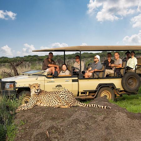 Tuningi Safari Lodge Madikwe Game Reserve Dış mekan fotoğraf
