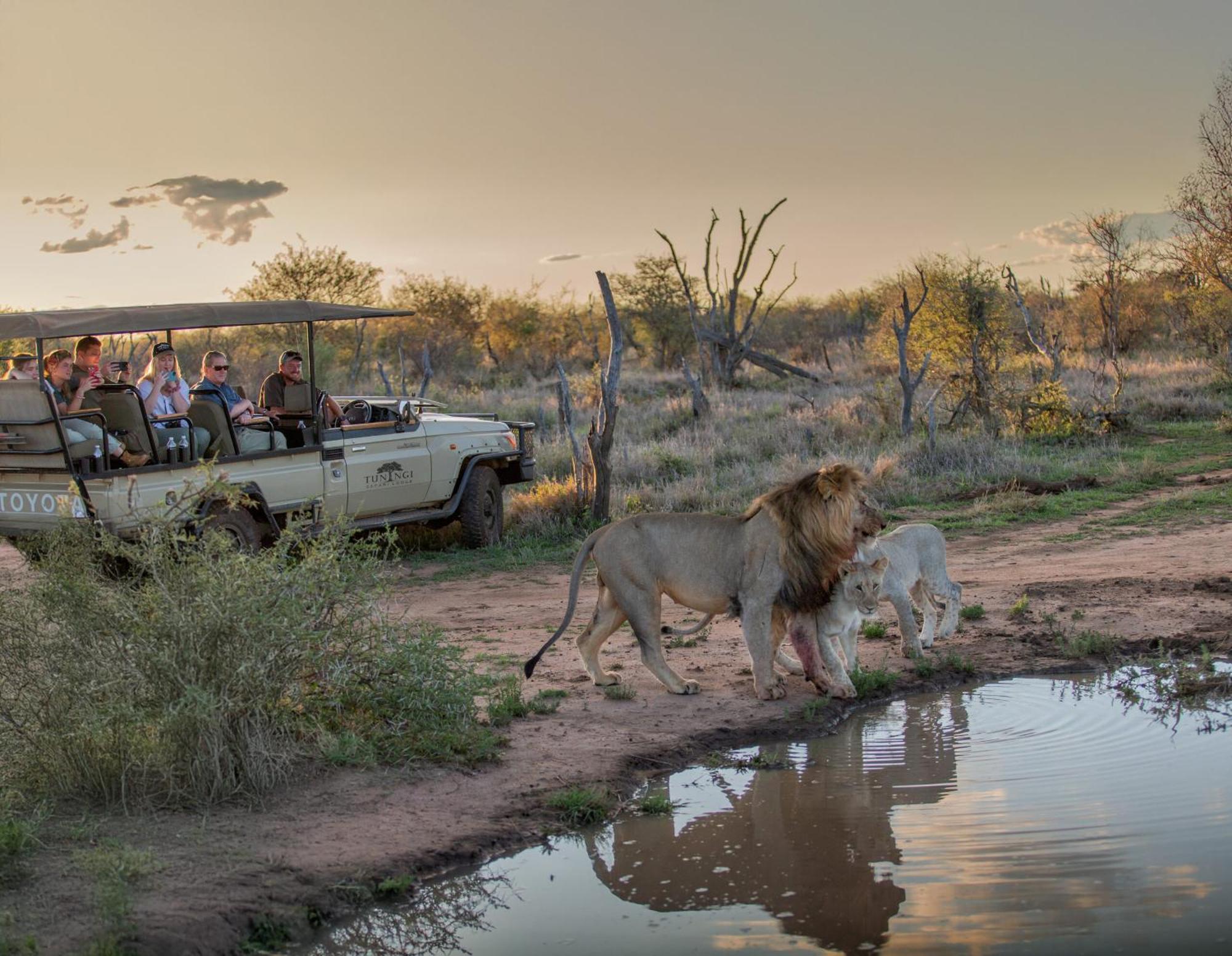 Tuningi Safari Lodge Madikwe Game Reserve Dış mekan fotoğraf