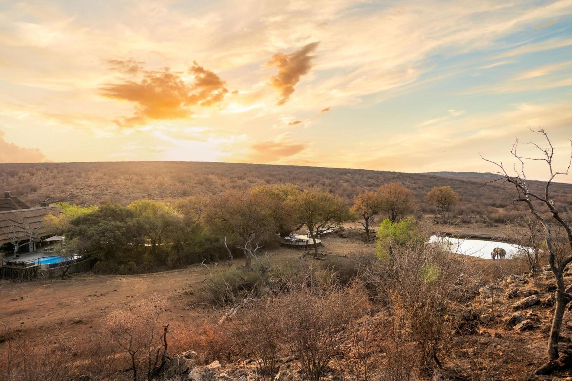 Tuningi Safari Lodge Madikwe Game Reserve Dış mekan fotoğraf