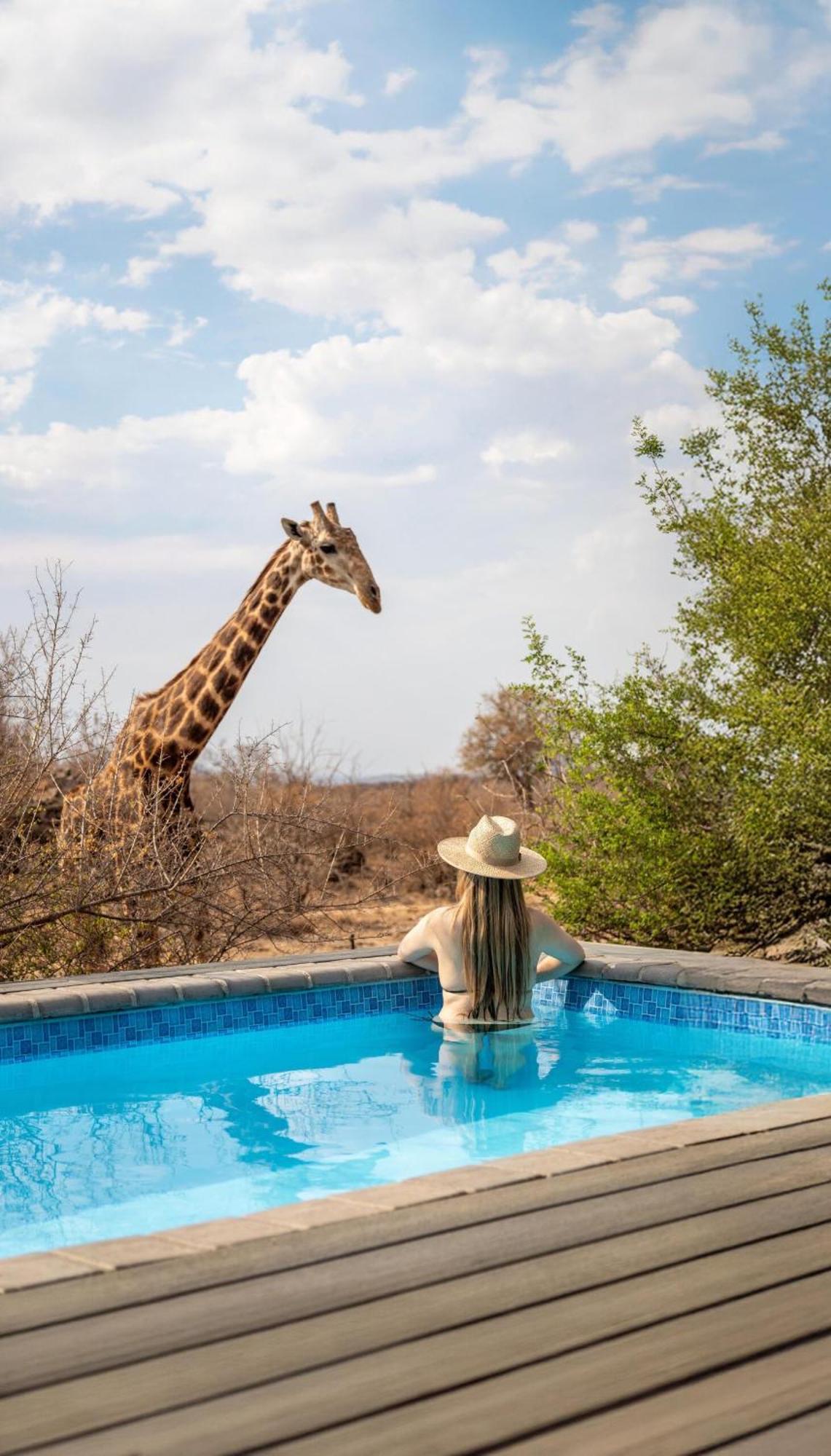 Tuningi Safari Lodge Madikwe Game Reserve Dış mekan fotoğraf