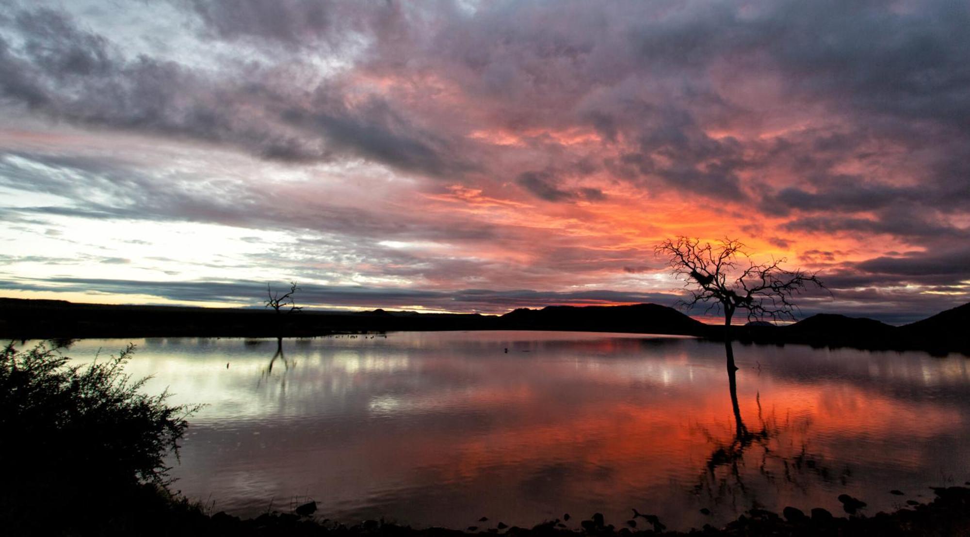 Tuningi Safari Lodge Madikwe Game Reserve Dış mekan fotoğraf