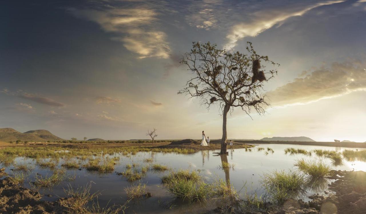 Tuningi Safari Lodge Madikwe Game Reserve Dış mekan fotoğraf
